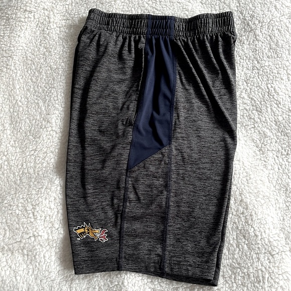 Drexel Dragon Logo Athletic Shorts, S - Picture 1 of 8